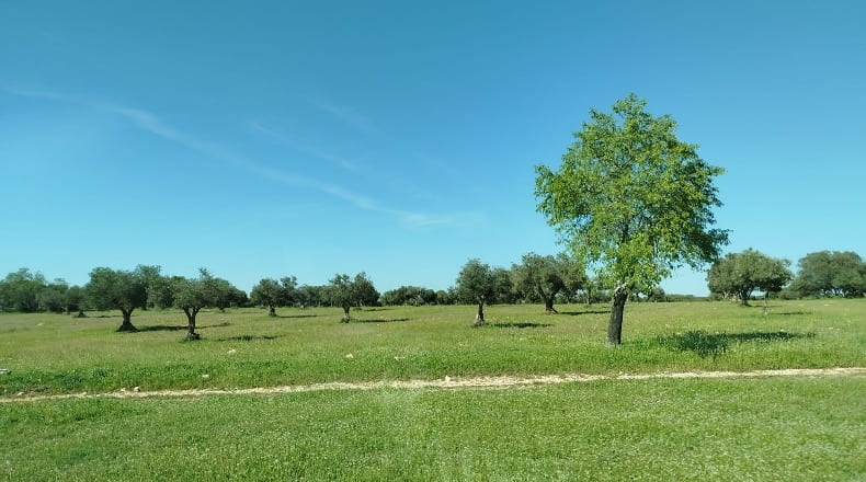 Comunidad de Madrid - Carabaña - 1000000m2