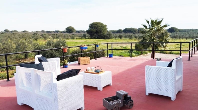 Seville - Aznalcázar - 30000m2