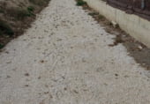 Non-developable land for sale on Carril del Chirlanco, Murcia, ref: TR105707 photo