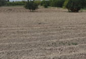 Non-developable land for sale on Carril del Chirlanco, Murcia, ref: TR105707 photo