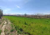 Non-developable land for sale on A-325, Guadix, ref: TR64020 photo