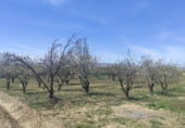 Non-developable land for sale on A-325, Guadix, ref: TR64020 photo