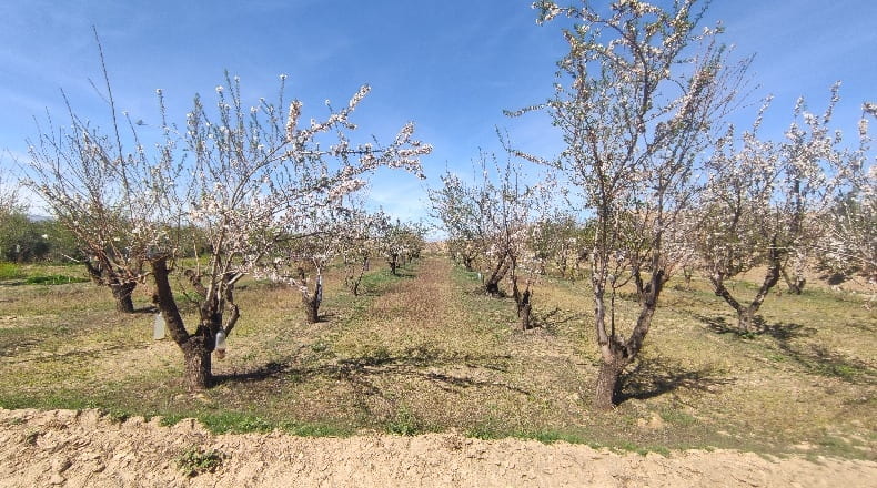 Granada - Guadix - 5100m2