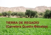 Non-developable land for sale on A-325, Guadix, ref: TR64020 photo