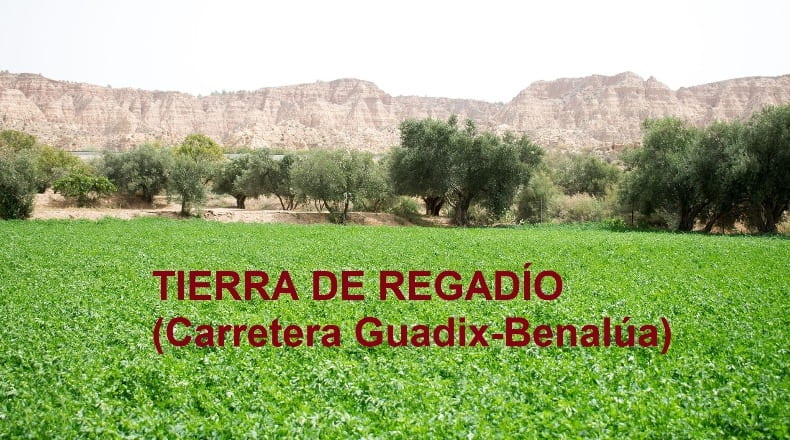 Granada - Guadix - 5100m2