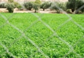 Non-developable land for sale on A-325, Guadix, ref: TR64020 photo
