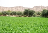 Non-developable land for sale on A-325, Guadix, ref: TR64020 photo