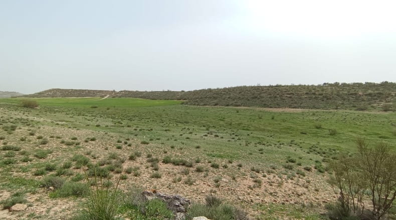 Granada - Guadix - 34400m2