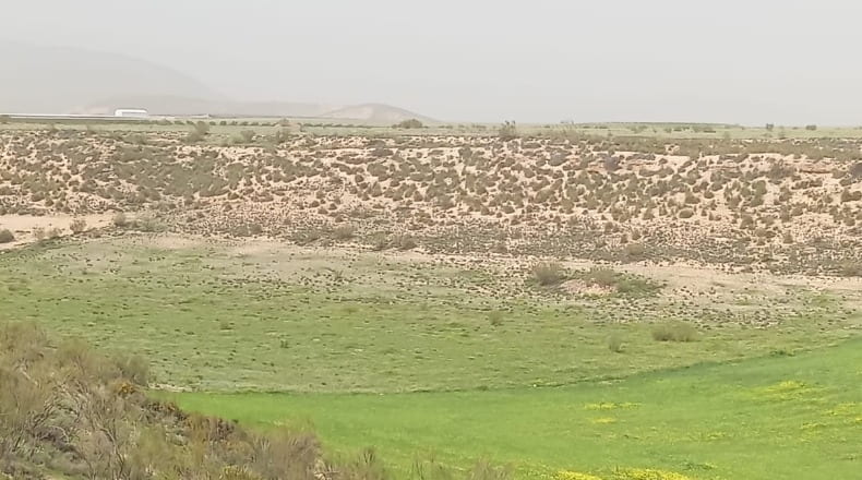 Granada - Guadix - 34400m2