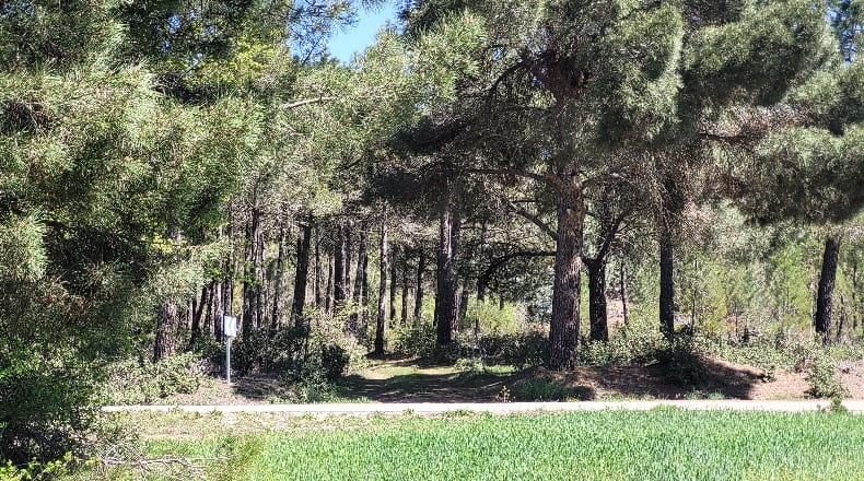 Guadalajara - Corduente - 58000m2