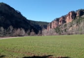 Rural estate for sale on Carretera de Molina a Cuevas, Corduente, ref: TR105720 photo
