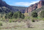 Rural estate for sale on Carretera de Molina a Cuevas, Corduente, ref: TR105720 photo