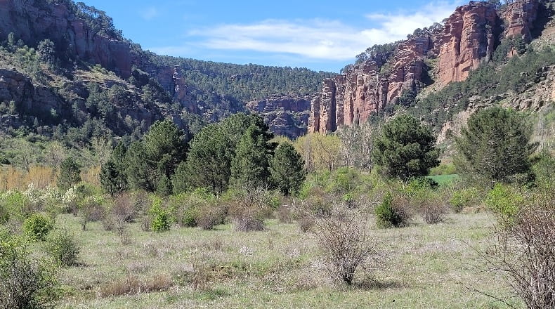 Guadalajara - Corduente - 58000m2
