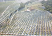Finca rústica en venda a la GR-9102, Castilléjar, ref.: TR105719 foto