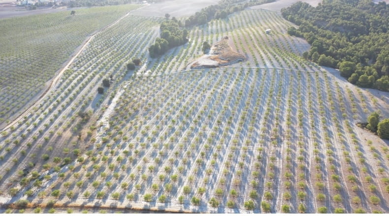 Granada - Castilléjar - 69000m2