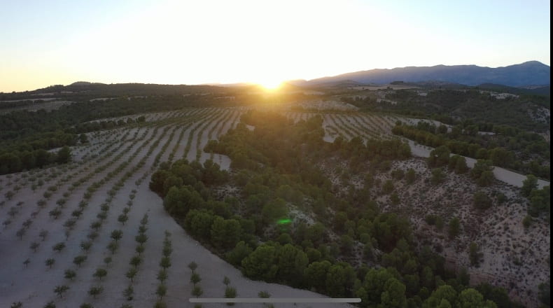 Granada - Castilléjar - 69000m2