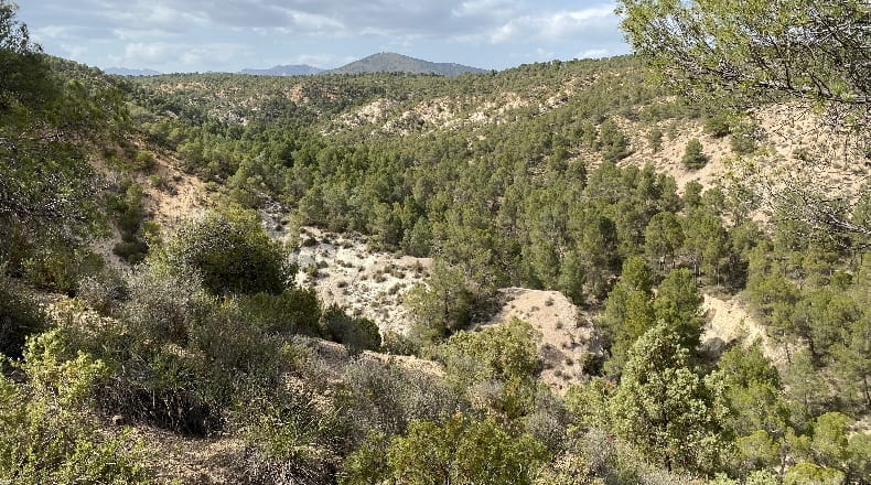 Granada - Castilléjar - 69000m2