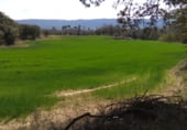 Terreny no urbanitzable en venda a la BV-4346, Sagàs, ref.: TR105718 foto