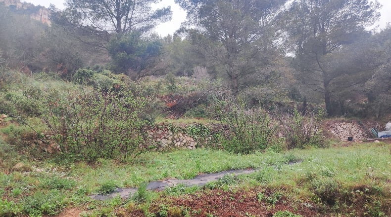 Tarragona - Vilanova d'Escornalbou - 15500m2