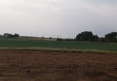 Finca rústica en venda a la CM-3111, Socuéllamos, ref.: TR105710 foto
