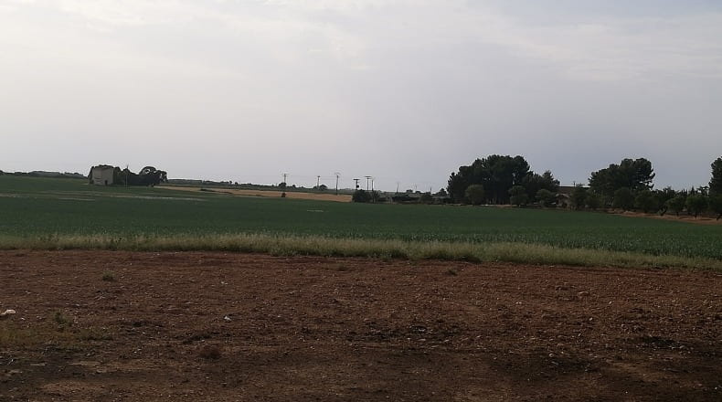 Ciudad Real - Socuéllamos - 59000m2