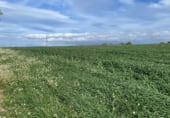 Non-developable land for rent on Maçanet de la Selva, ref: TR105716 photo