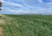 Non-developable land for rent on Maçanet de la Selva, ref: TR105716 photo