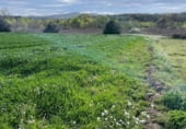 Non-developable land for rent on Maçanet de la Selva, ref: TR105716 photo