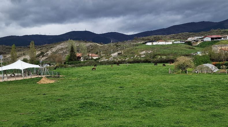 Álava - Narvaja - 2600m2