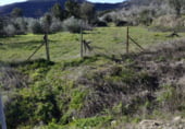 Terreno no urbanizable en venta en la EX-205, Hoyos, ref: TR105978 foto
