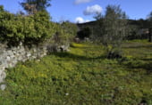 Terreno no urbanizable en venta en la EX-205, Hoyos, ref: TR105978 foto