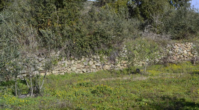Cáceres - Hoyos - 9200m2
