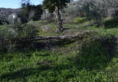 Terreno no urbanizable en venta en la EX-205, Hoyos, ref: TR105978 foto