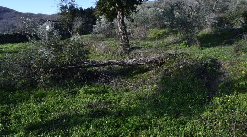Cáceres - Hoyos - 9200m2