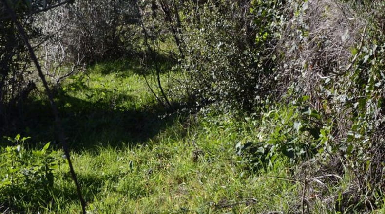 Cáceres - Hoyos - 9200m2