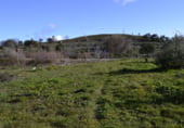 Terreno no urbanizable en venta en la EX-205, Hoyos, ref: TR105978 foto