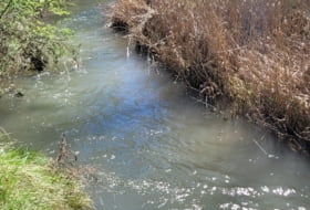 Foto 12