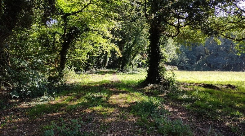 Lugo - Sandamil - 170000m2