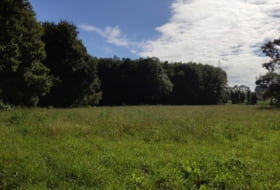 Sandamil 170000&nbsp;m² 