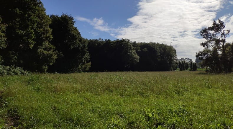 Lugo - Sandamil - 170000m2