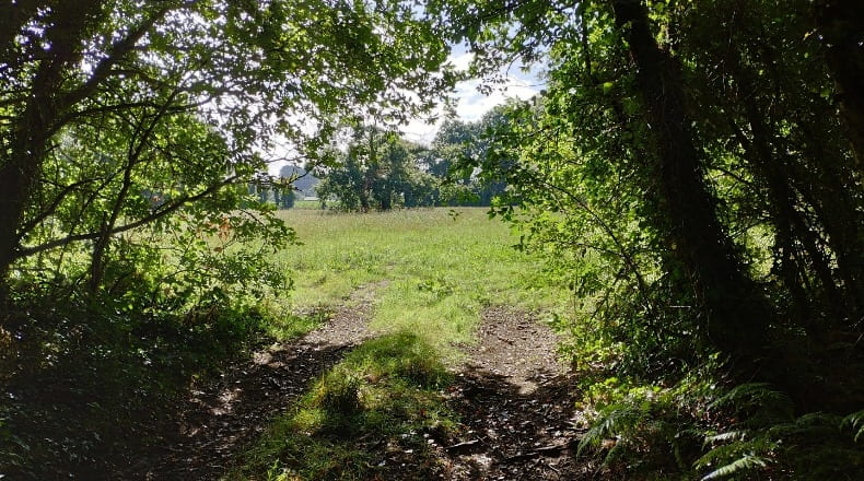 Lugo - Sandamil - 170000m2