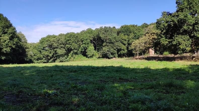 Lugo - Sandamil - 170000m2