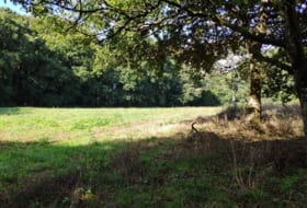 Sandamil 170000&nbsp;m² 