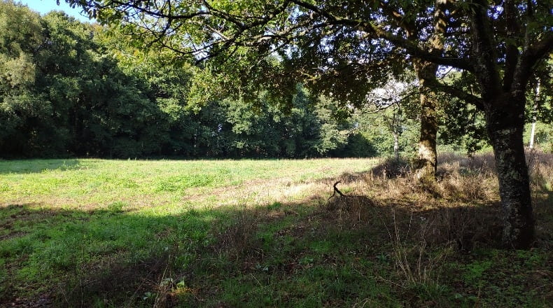 Lugo - Sandamil - 170000m2