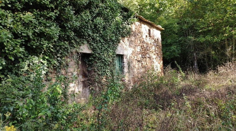Lugo - Sandamil - 170000m2