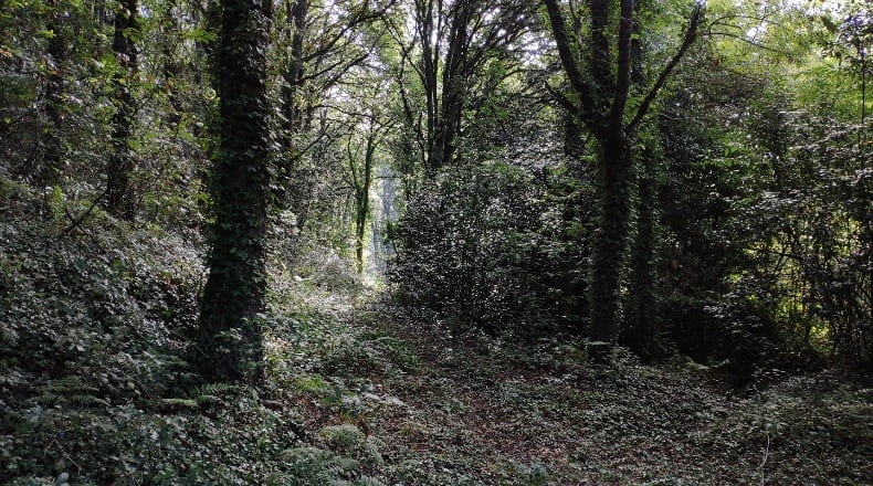 Lugo - Sandamil - 170000m2