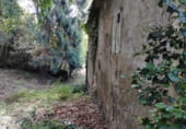 Casa de piedra con terreno en venta en la Finca A Granda, Sandamil, ref: TR77293 foto