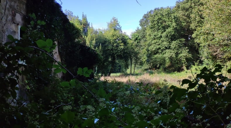 Lugo - Sandamil - 170000m2