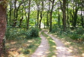 Sandamil 170000&nbsp;m² 