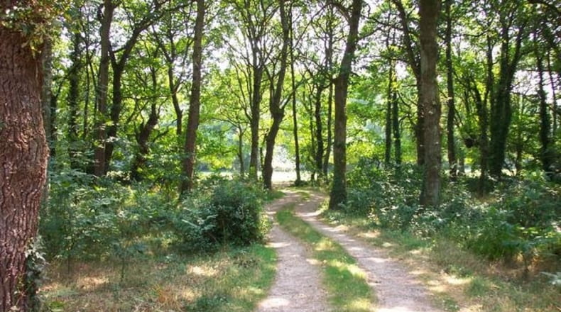 Lugo - Sandamil - 170000m2